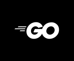 Golang